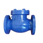 Non Return Valve