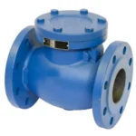 Cast Iron Check Valve