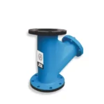 Y Strainer