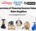 Industrial Valve Supplier